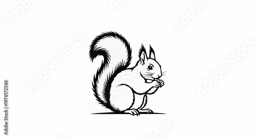 A black and white sketch of a squirrel holding a nut to eat