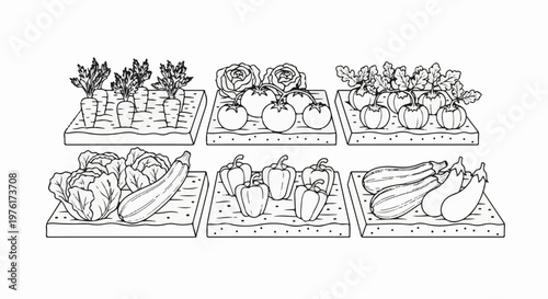 Six garden plots filled with healthy fresh produce, a bountiful harvest