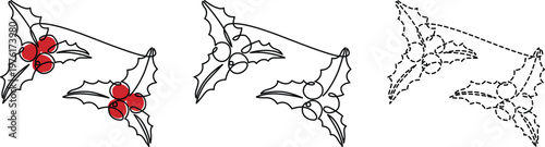 Evolutionary transformation of holly leaves and berries into abstract line art Vector