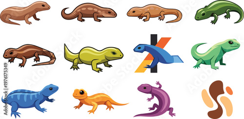Salamander Vector Set Colorful Amphibian Newt Animal Collection Illustration
