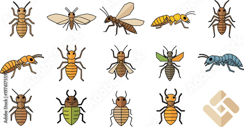 Termite Vector Set Worker and Soldier Insect Colony Collection Illustration