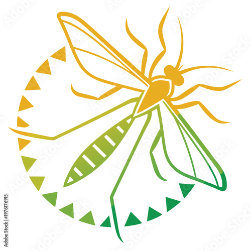 Top view mosquito vector graphic enclosed in circular tribal pattern frame representing natural pest control and insect awareness for health study.