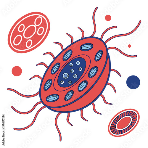 Stylized medical vector of large spiked microbial cell with internal organelles accompanied by various detached floating biological units in space.