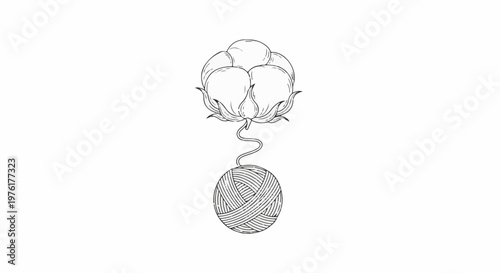 Sketch of cotton boll connected by a springy line to a ball of yarn
