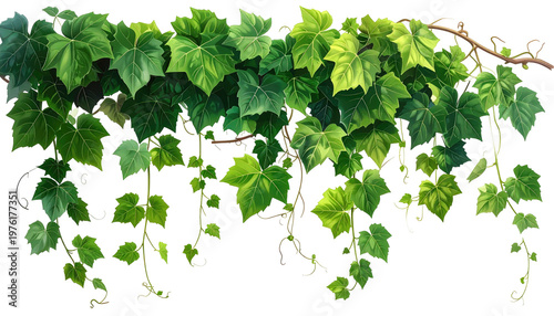 Lush, verdant vine illustration, featuring detailed foliage with various shades of green. Twigs and tendrils create a natural, organic composition
