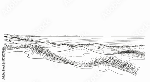 Sketch of rolling sand dunes and ocean horizon with grass