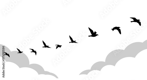 Flock of birds flying together formation.