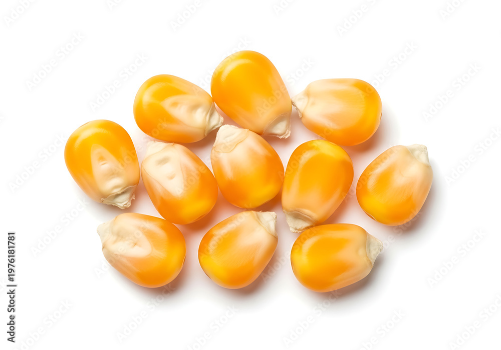 Fototapeta premium Pile of dried corn kernels on a white background with food industry