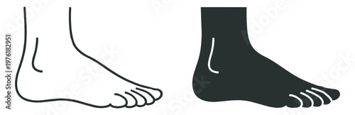 human foot anatomy icon, leg and toes vector illustration, medical healthcare and body structure symbol isolated on transparent background