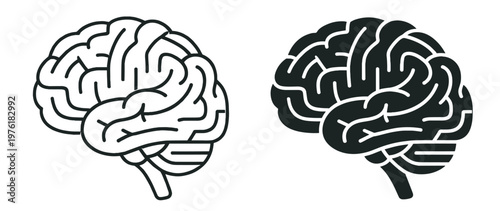 human brain anatomy icon, nervous system organ vector illustration, medical healthcare and neurology symbol isolated on transparent background