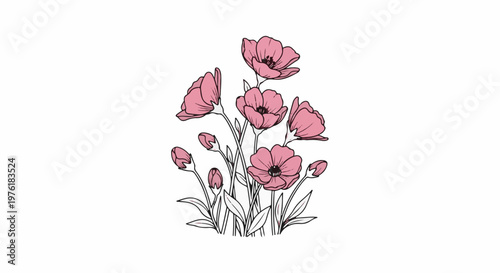 A delicate artistic sketch of pink poppies with buds and leaves