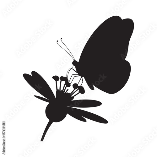 A silhouette of a butterfly perched on a delicate flower