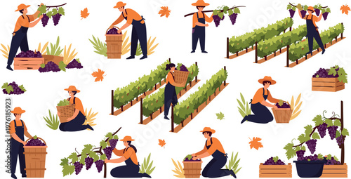 Grape Harvest Farmers Characters Set Vineyard Workers Picking Grapes Agriculture Collection Flat Vector Illustration