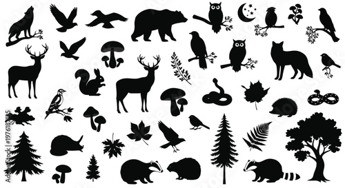 Diverse collection of forest animals, plants, and nature elements in black silhouettes Vector