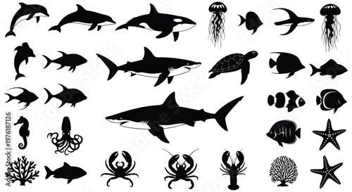 Diverse underwater creatures and marine life illustration collection Vector