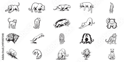 Collection of diverse leopard and panther illustrations in black and white.