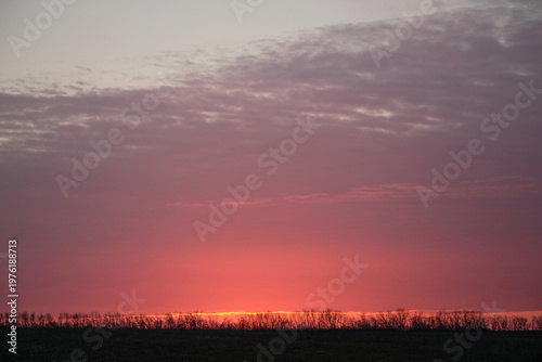 beautiful field in the evening