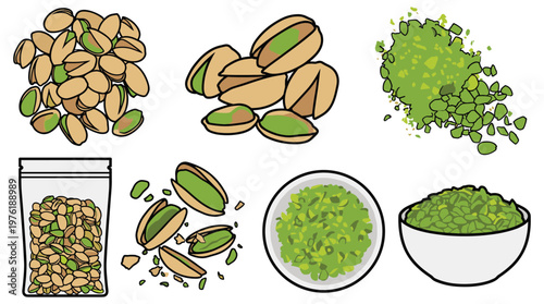 Pistachio nuts illustrations showing whole shells kernels and powder.