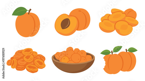 Apricots and dried apricots collection on transparent background.
