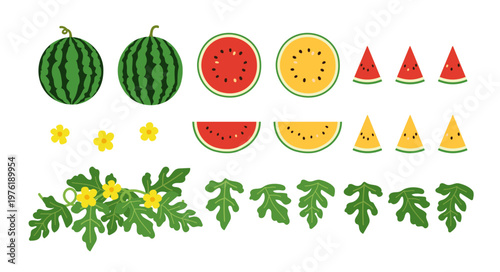 シンプルでかわいいスイカの装飾イラストセット　黄色いスイカ　花と葉っぱ　カットスイカ　断面図