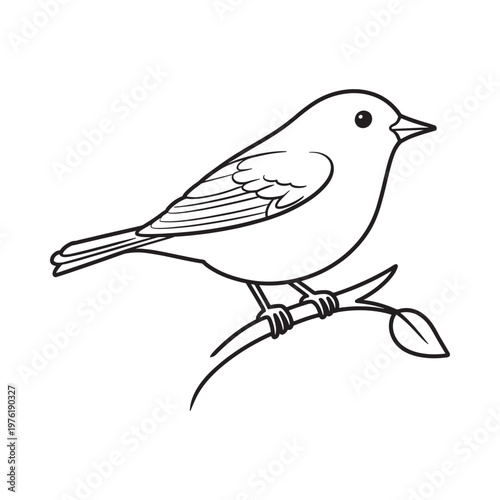 Line drawing of a small songbird perched on a slender branch
