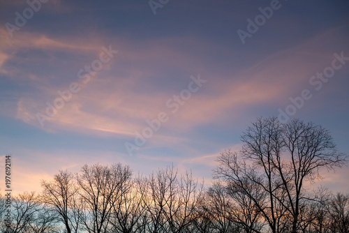 Sunset seen with bare tree branches