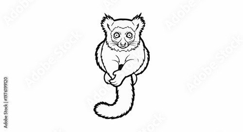 A whimsical black and white illustration of a fluffy lemur with large eyes