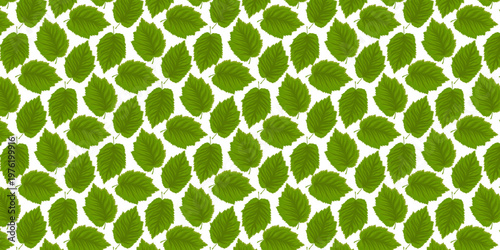 Seamless Pattern Hazelnut Leaves Botanical Green Foliage Plant Design