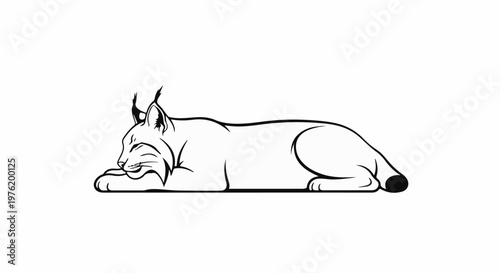 A minimalist black and white illustration of a lynx resting peacefully on its paws