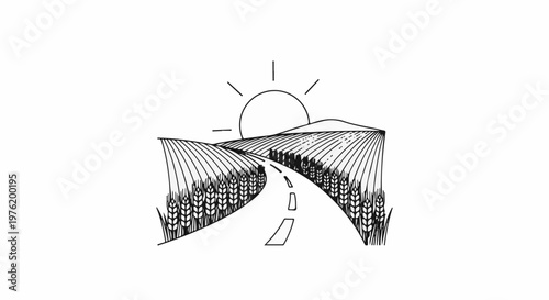 A winding road through golden fields under a rising sun