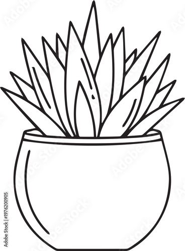 Succulent plant in a simple pot outline illustration