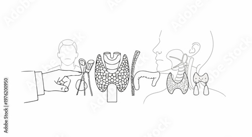 Anatomical diagram of the thyroid and parathyroid glands with surgical tools