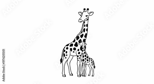 A mother and baby giraffe, standing side-by-side, in a playful illustration