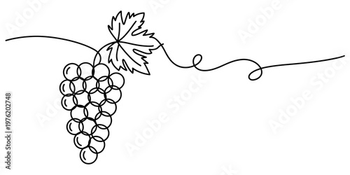 Simple black line art illustration of a grape cluster with a single leaf and curly vine Vector, illustration