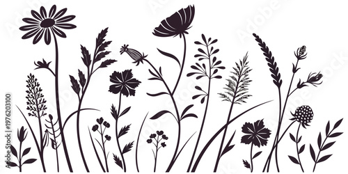 Collection of silhouette wildflowers and grasses with black and white wildflower silhouette botanical isolated decoration illustration minimalist monochrome