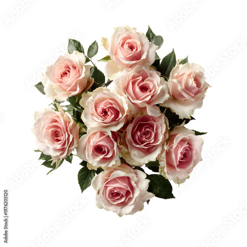 Elegant Bouquet of Delicate Pink Roses on a Deep Black Background View