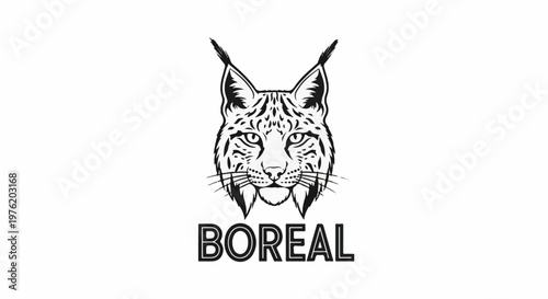 A striking black and white illustration of a bobcat's head above text
