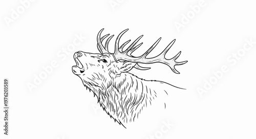 A stylized black and white drawing of a stag's head roaring with large antlers