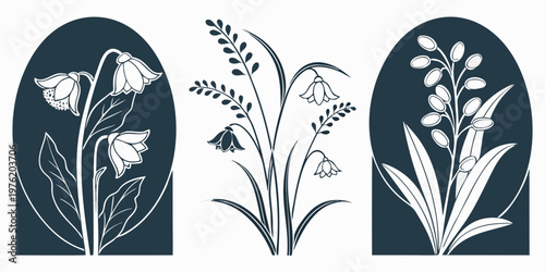 Stylized botanical illustrations set of delicate plants and flowers within arched frames and freestanding floral elements with line art botanical illustration