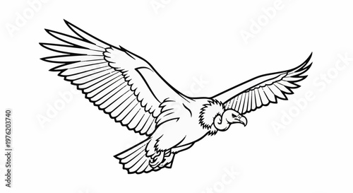 A stylized, black and white illustration of a bird of prey in flight