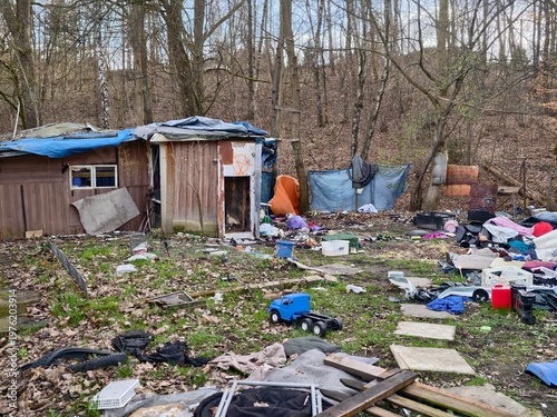 Картината върху платно Abandoned forest shelter with debris
