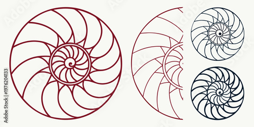 Four variations of geometric nautilus shell inspired spiral patterns in outline form with golden ratio nautilus geometric variation fibonacci mathematics