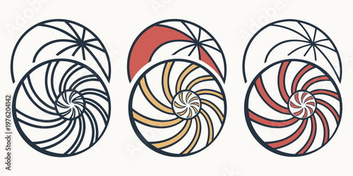 Three nautilus shell inspired geometric spiral patterns with outline and color variations golden ratio nautilus geometric variation fibonacci illustration