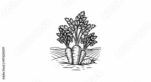 A stylized drawing of a patch of carrots growing in a field