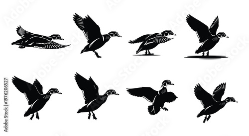 Black Duck Landing Poses Silhouette Set Vector Illustration Collection Isolated on White Background