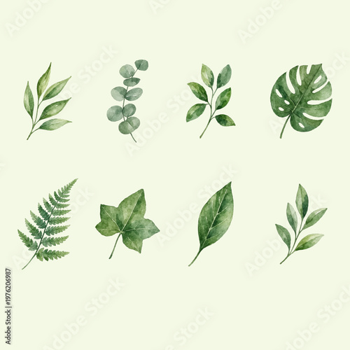watercolor greenery set with botanical leaves set and watercolor leaves collection, green leaves set in soft watercolor style, botanical elements including eucalyptus, monstera