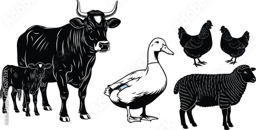 Farm animals silhouette illustration, cow with calf, duck, chickens, sheep, agriculture, livestock, rural life, farming, domestic animals, countryside design
