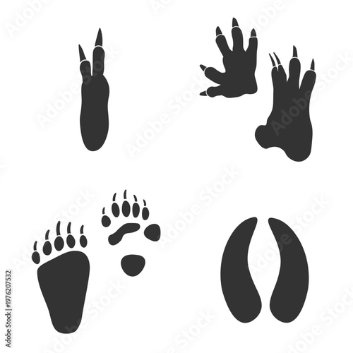 Footprints of  Animal, Traces of a Koala, Panda, Deer, and Kangaroo on white background.  Silhouette animal tracks in gray. Paw Print for your  design. Vector illustration. EPS10.