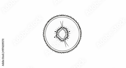 Stylized cross-section of a fuzzy fruit with radiating seeds