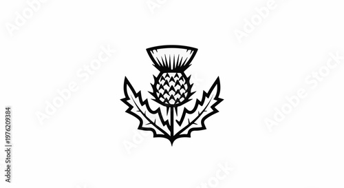 Stylized black and white illustration of a thistle with spiky leaves